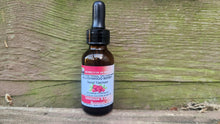 Load image into Gallery viewer, Blushwood Berry EBC-46 Tincture 30ml | Organic Immune & Cell Support | Phoenix Lynn