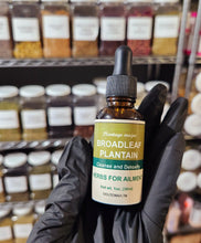 Load image into Gallery viewer, Broadleaf Plantain (Plantago major) Tincture, Detoxification, Lung Health, Inflammation, Organic 1 oz
