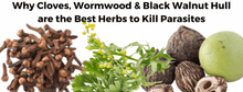 Load image into Gallery viewer, Organic Parasite Detox Tea | Para Purge with Wormwood & Black Walnut | Phoenix Lynn 2 oz.