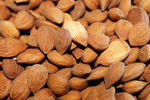 Load image into Gallery viewer, Bitter Apricot Seeds / Kernels, Vitamin B17, Organic Raw, GMO Free, Pesticide Free, Gluten Free 2 oz.