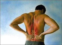 Load image into Gallery viewer, Organic Pain Relief & Sciatica Massage Oil | Nerve & Muscle Pain Relief 2oz | Phoenix Lynn