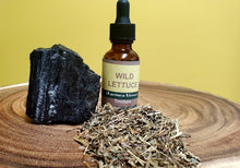 Load image into Gallery viewer, Wild lettuce Tincture (Lactuca Virosa) Liquid Herbal Extract-Pain-Calming 1 oz.