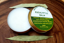 Load image into Gallery viewer, Eucalyptus Salve Organic 2 oz.