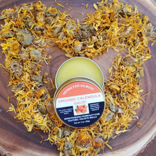 Load image into Gallery viewer, Calendula Salve/Balm, Diaper rashes, Eczema, Psoriasis, Acne, Burns, Wounds, Organic 2 oz.