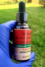 Load image into Gallery viewer, Sea Moss, Bladderwrack & Burdock Root Tincture | Immune, Thyroid & Gut Health | Phoenix Lynn