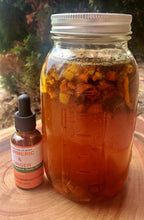 Load image into Gallery viewer, Turmeric & Ginger Glycerin Tincture Extract | Anti-Inflammatory Support | Phoenix Lynn