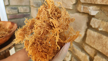 Load image into Gallery viewer, Sun Dried Irish Sea Moss St. Lucia 4 oz- Gold Raw- Wild Crafted / Sea Moss Powder-1 oz