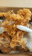 Load image into Gallery viewer, Sun Dried Irish Sea Moss St. Lucia 4 oz- Gold Raw- Wild Crafted / Sea Moss Powder-1 oz