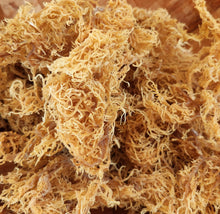 Load image into Gallery viewer, Sun Dried Irish Sea Moss St. Lucia 4 oz- Gold Raw- Wild Crafted / Sea Moss Powder-1 oz