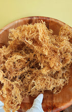 Load image into Gallery viewer, Sun Dried Irish Sea Moss St. Lucia 4 oz- Gold Raw- Wild Crafted / Sea Moss Powder-1 oz