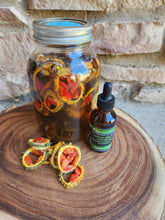 Load image into Gallery viewer, Bitter Melon (Momordica charantia) Tincture, Alcohol-Free Liquid Extract, Organic 2 oz