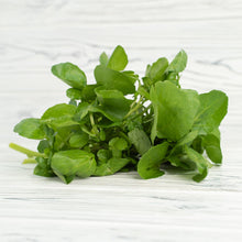 Load image into Gallery viewer, Watercress Leaf & Steam (Nasturtium officinale) cut & shifted Dried-Thyroid Health, Goiter, Heart Health, Anti Cancer-1 oz Wildcrafted
