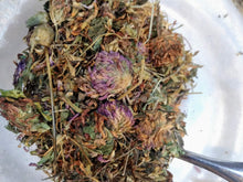 Load image into Gallery viewer, Red Clover Flowers Stems & Leaves Organic/Wildharvested