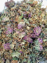 Load image into Gallery viewer, Red Clover Flowers Stems & Leaves Organic/Wildharvested