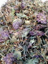 Load image into Gallery viewer, Red Clover Flowers Stems & Leaves Organic/Wildharvested