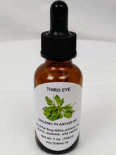 Load image into Gallery viewer, Herbal Infused Oils 1 oz, 4 oz