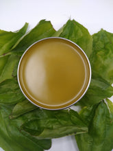 Load image into Gallery viewer, Plantain Broad Leaf Salve Organic 2 oz.