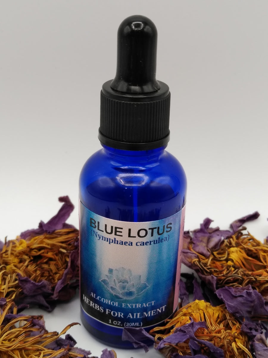 Blue Lotus Nymphaea Caerulea Alcohol Tincture Extract Aphrodisiac Phoenix Lynn Health And 8326