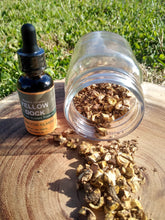 Load image into Gallery viewer, Yellow Dock Tincture 1 oz Anemia, Low Iron, Liver, Digestion