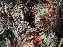 Load image into Gallery viewer, Klip Dagga Herbal  Loose Leaf Tea , Leonotis Nepetifolia, Flower buds whole, Organic,