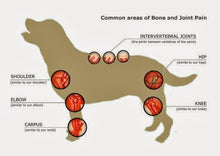 Load image into Gallery viewer, EGGSHELL POWDER (NEM) JOINT CARE, Eggshell membrane, organic free-range, 2 oz PET CARE