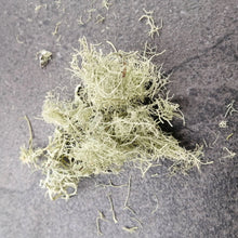 Load image into Gallery viewer, USNEA LICHENS (Usnea barbata) Old Mens Beard lichen, Organic 1 oz, Natural Antibiotic