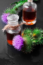 Load image into Gallery viewer, Organic Milk Thistle (Silybum marianum) Tincture, Liver & Gallbladder Detox, Bone Health & Immune Support
