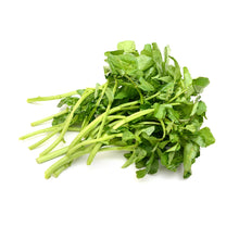 Load image into Gallery viewer, Watercress Leaf & Steam (Nasturtium officinale) cut & shifted Dried-Thyroid Health, Goiter, Heart Health, Anti Cancer-1 oz Wildcrafted