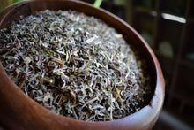 Load image into Gallery viewer, Wild lettuce Tincture (Lactuca Virosa) Liquid Herbal Extract-Pain-Calming 1 oz.