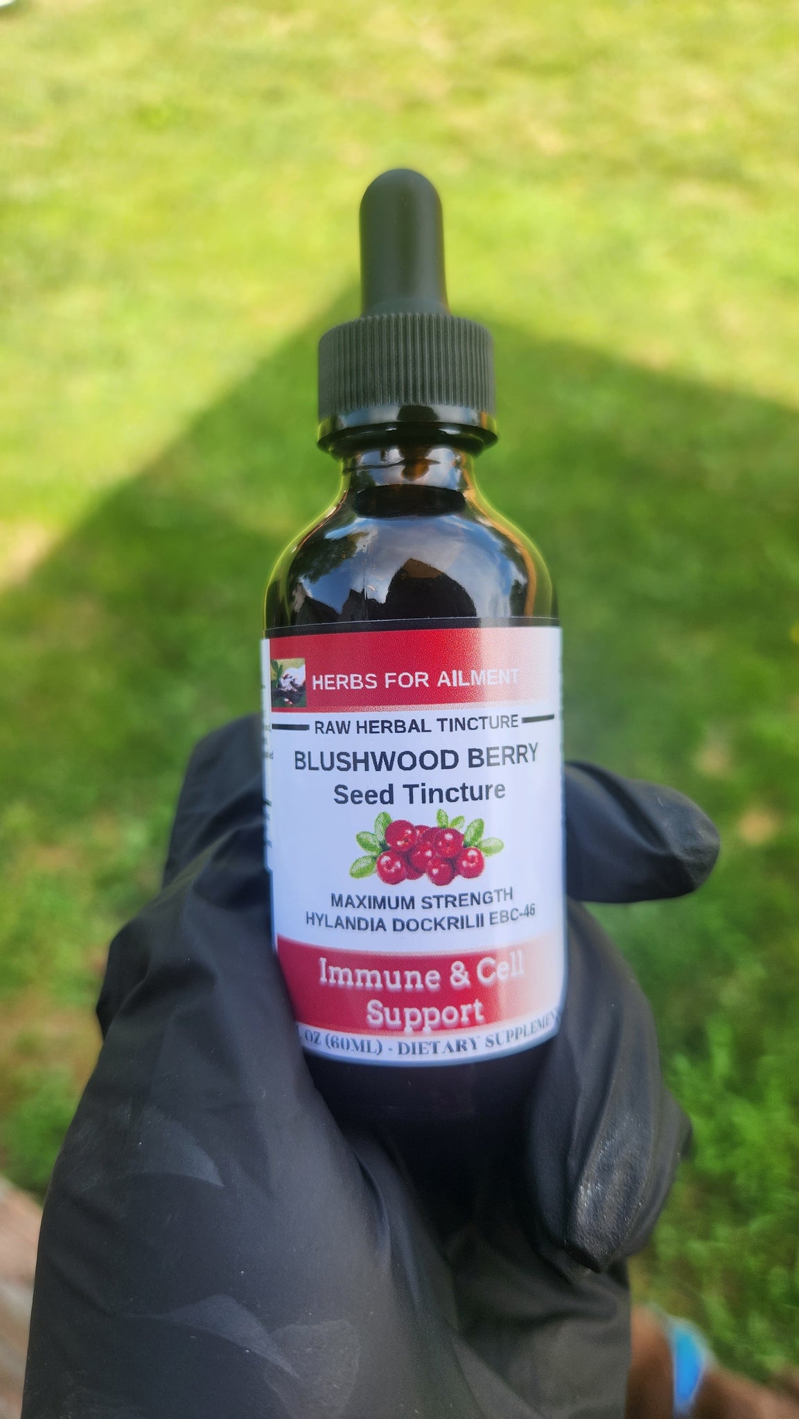 Blushwood Berry Seed EBC-46 Tincture-Organic-Immune & Cell Support-Ora ...