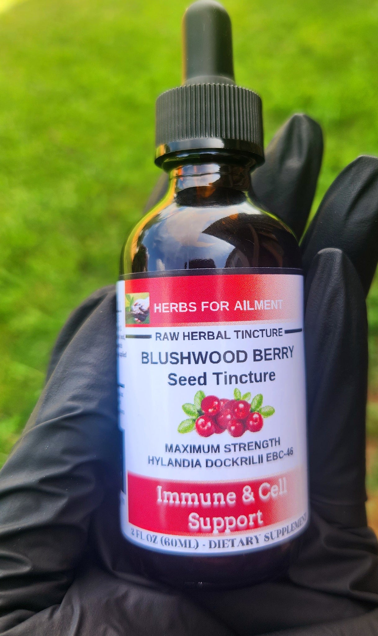 Blushwood Berry Seed EBC-46 Tincture-Organic-Immune & Cell Support-Ora ...