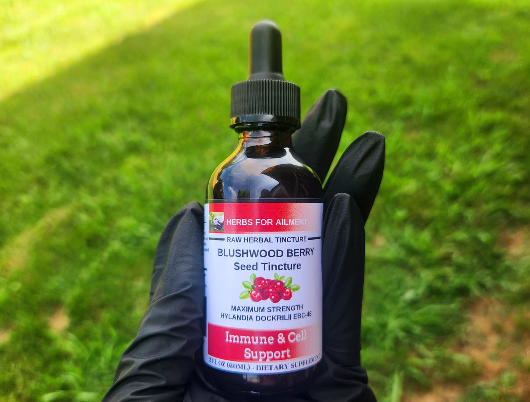 Blushwood Berry Seed EBC-46 Tincture-Organic-Immune & Cell Support-Oral and Topical Alcohol-Free Formula 60ml.
