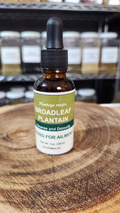 Broadleaf Plantain (Plantago major) Tincture, Detoxification, Lung Health, Inflammation, Organic 1 oz
