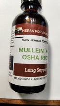 Load image into Gallery viewer, Mullein Lung Harmony Tonic, Respiratory Support and Mucus Relief, Mucus Relief,Osha Root, 2oz
