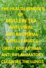 Load image into Gallery viewer, Mullein Lung Harmony Tonic, Respiratory Support and Mucus Relief, Mucus Relief,Osha Root, 2oz
