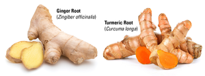 Turmeric & Ginger Anti-Inflammation Balm /Salve, Pain, Inflammation, Arthritis, Organic 2 oz