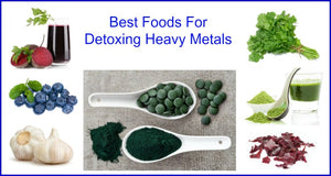 Heavy Metal Detox  Cilantro / Chlorella Broken Cell, Binders Immune Health,  2 oz, Organic