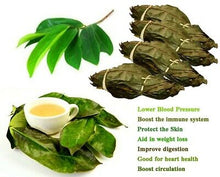Load image into Gallery viewer, Soursop (graviola, guyabano) Dried Leaves, Cell Regeneration, Immune boost, fight inflammation -(50 leaves)
