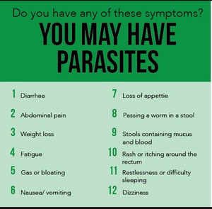 Parasite (Para Purge) Detox Tea Organic 2 oz, Digestive Health, Wormwood, Black walnut, Clove Bud
