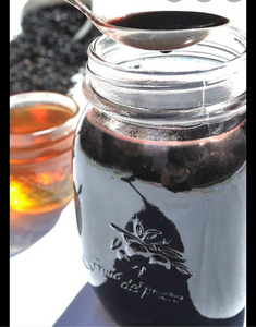 Organic Black Elderberry Syrup