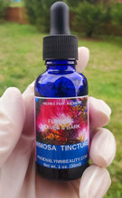 Load image into Gallery viewer, Wildcrafted Mimosa Glycerite Tincture: Albizia Julibrissin ,Silk Tree, He Huan Hua,Stress,Mood
