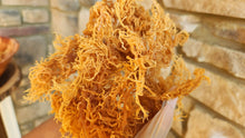 Load image into Gallery viewer, Sun Dried Irish Sea Moss St. Lucia 4 oz- Gold Raw- Wild Crafted / Sea Moss Powder-1 oz
