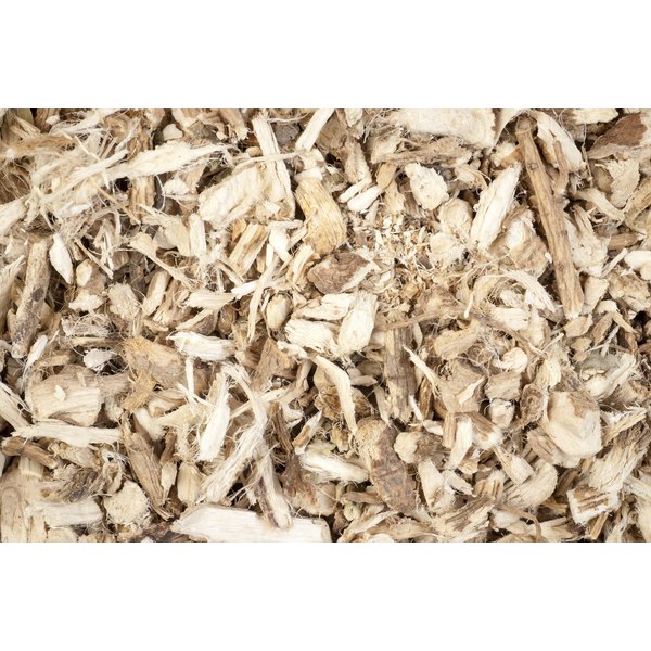 Marshmallow Root (Althaea officinalis) DRIED Organic 1oz.