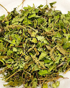 AMARANTHUS VIRIDIS Stem, Leaves Cut Dried Herb Organic 1 oz, ANTI-AGING
