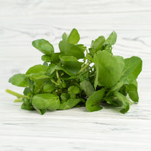 Load image into Gallery viewer, Watercress Leaf &amp; Steam (Nasturtium officinale) cut &amp; shifted Dried-Thyroid Health, Goiter, Heart Health, Anti Cancer-1 oz Wildcrafted
