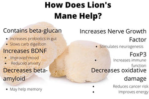 Lions Mane Mushroom Extract Powder, Mood, Cognitive & Nerve Health, Digestive Health, 2oz