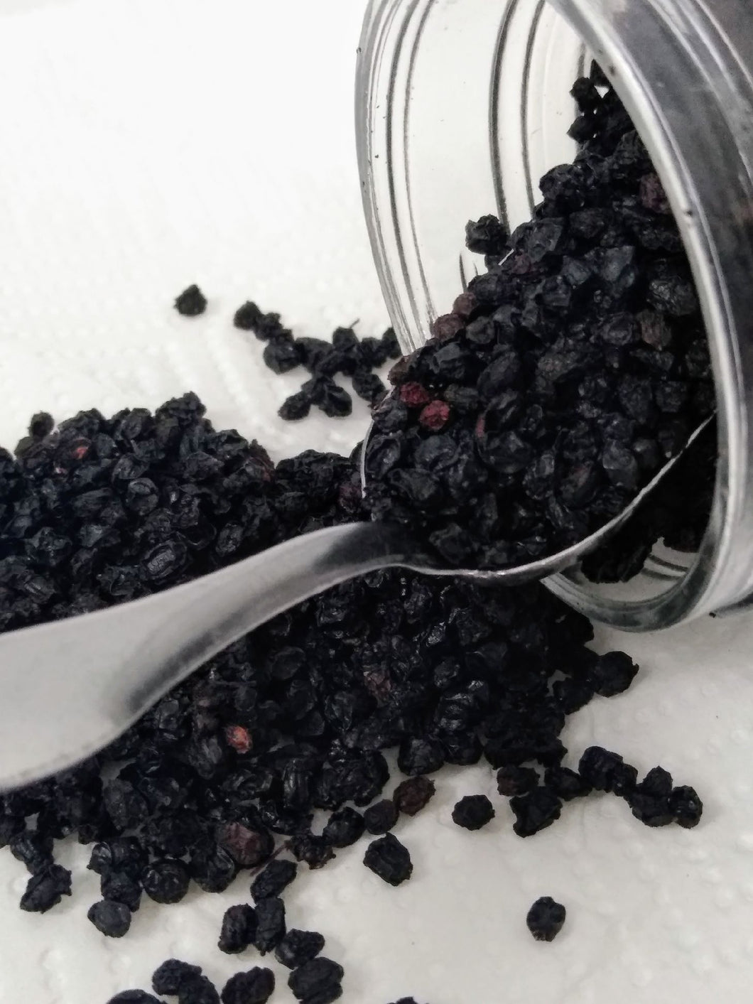 Elderberries Black (Sambucus Nigra) whole dried Organic 4 oz