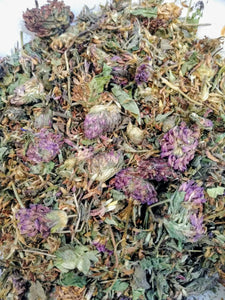 Red Clover Flowers Stems & Leaves Organic/Wildharvested