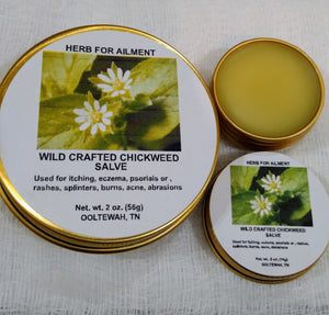 Wild Crafted Chickweed Salve 2 oz