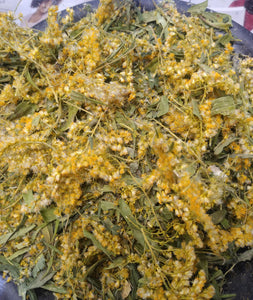 Goldenrod (Solidago,) Dried Cut & Shifted, WildHarvested, Organic UTI, ALLERGY,ECZEMA 1oz.